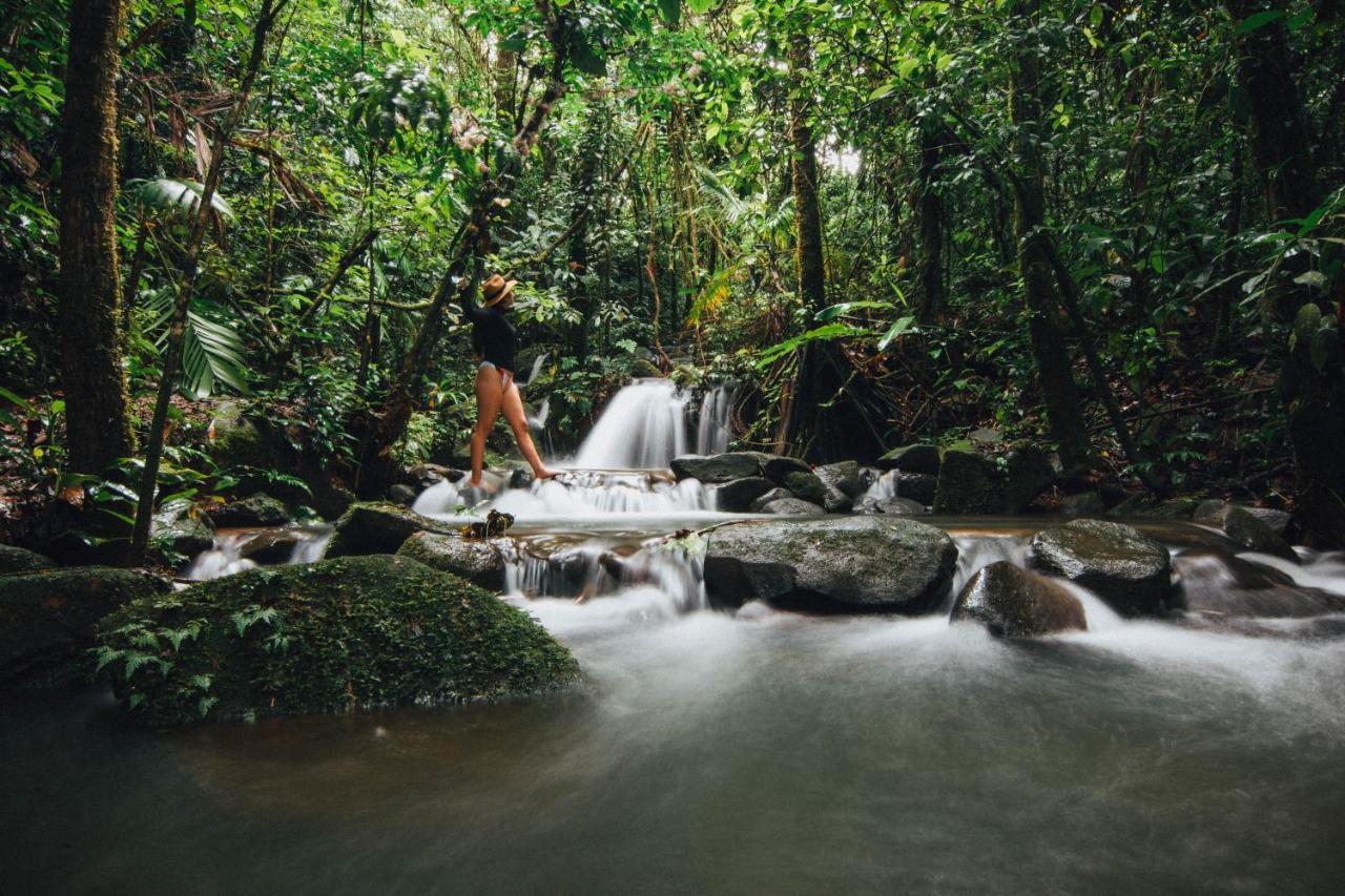 La Tigra Rainforest Lodge La Fortuna Exteriör bild