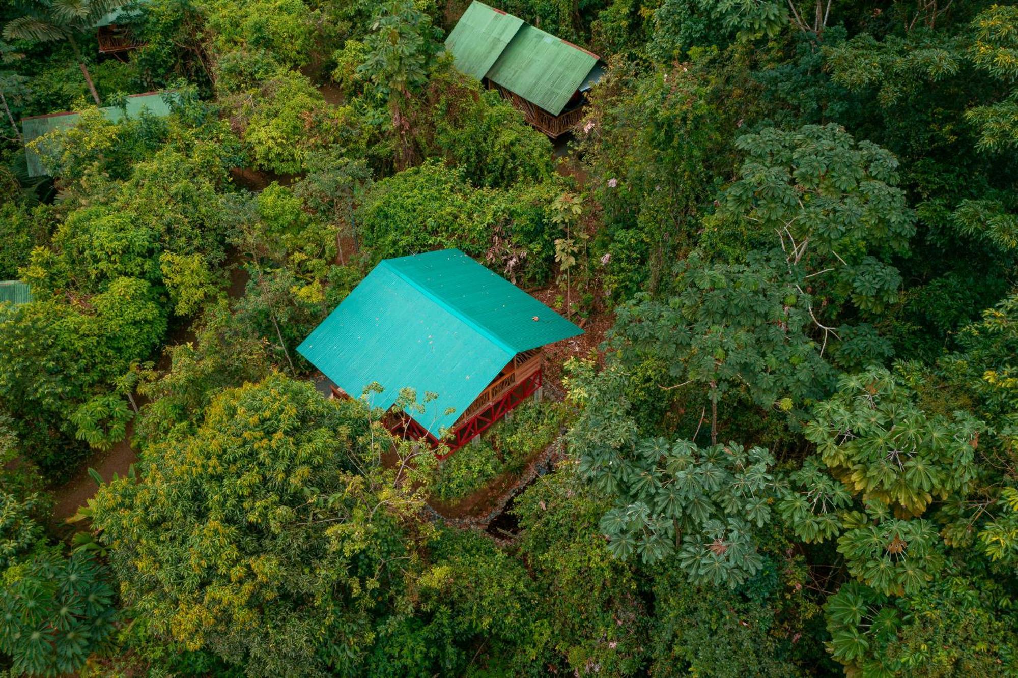La Tigra Rainforest Lodge La Fortuna Exteriör bild