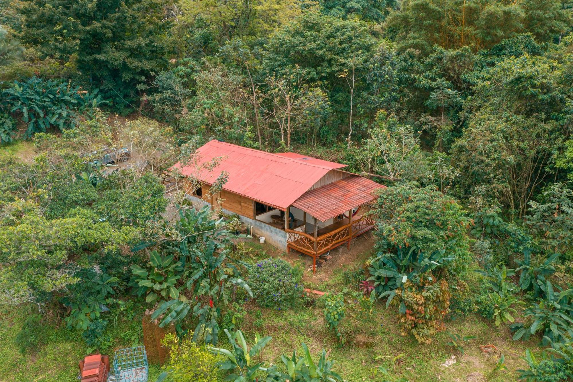 La Tigra Rainforest Lodge La Fortuna Exteriör bild