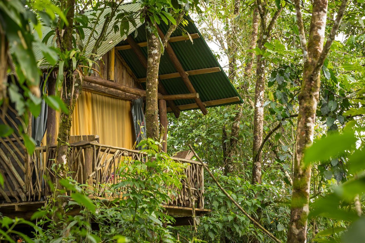 La Tigra Rainforest Lodge La Fortuna Exteriör bild