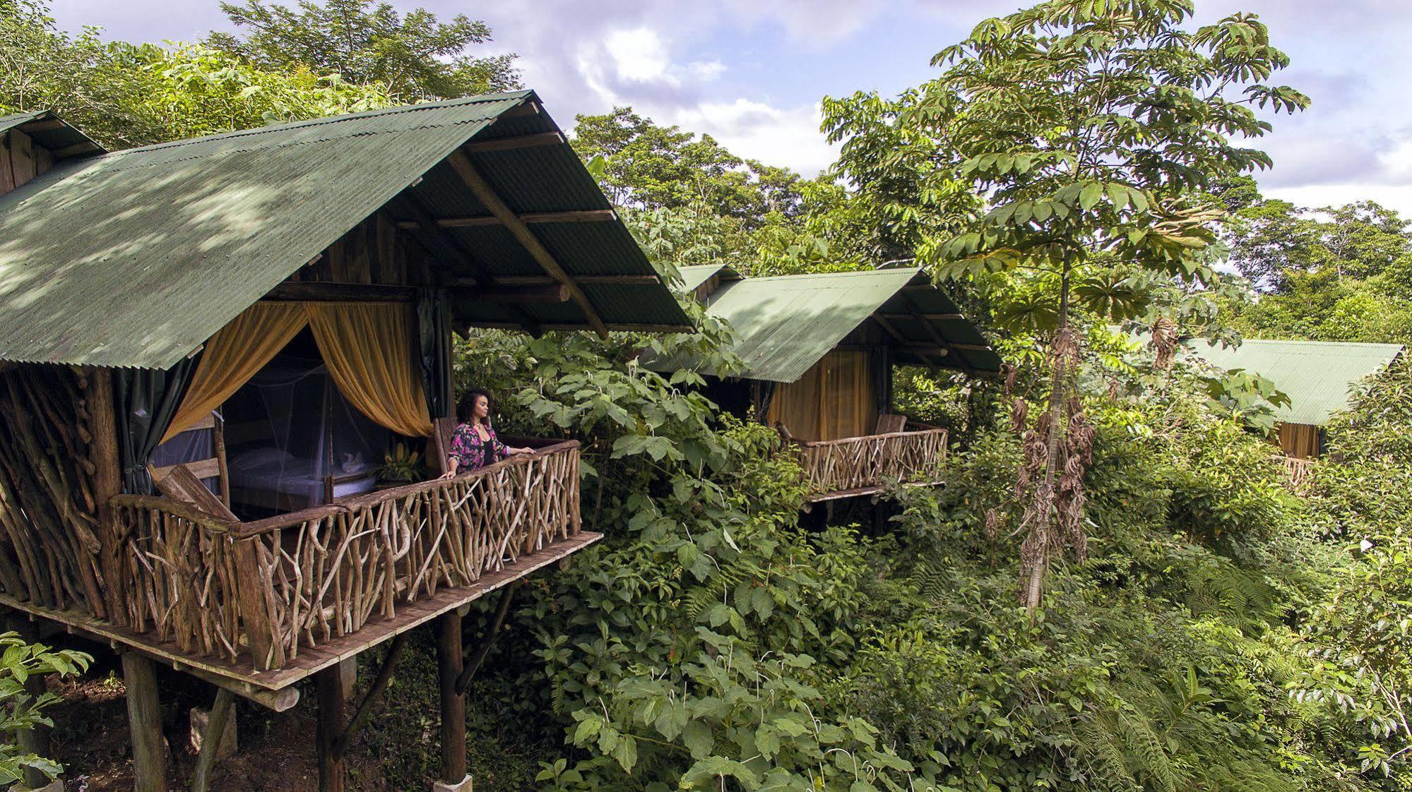 La Tigra Rainforest Lodge La Fortuna Exteriör bild